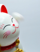 Obiceiuri la care sa renunti daca vrei o viata mai fericita